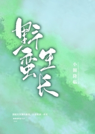 云梦山在哪里